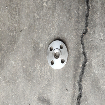 পাইপ দিন Pn16 প্লেট Flanges কার্বন ইস্পাত Forging